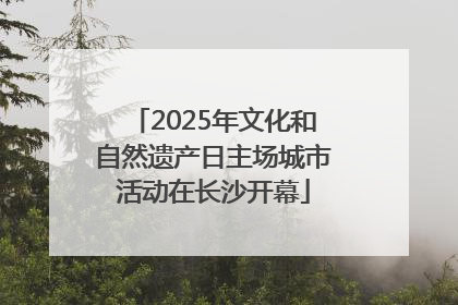 2025年文化和自然遗产日主场城市活动在长沙开幕